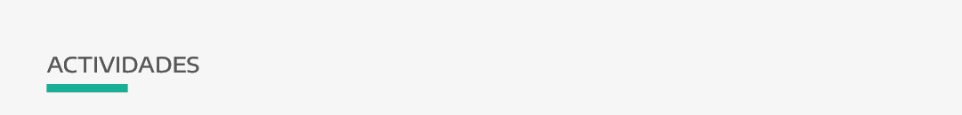 Actividades realizadas-100