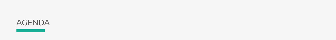 Agenda-100